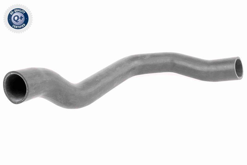 VAICO Ladeluftschlauch Q+, Erstausrüsterqualität V42-0566