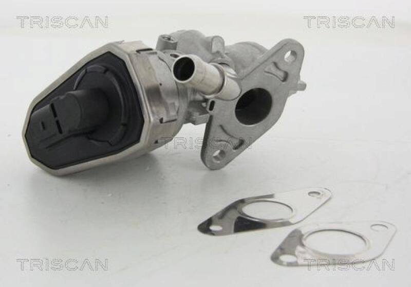 TRISCAN EGR Valve