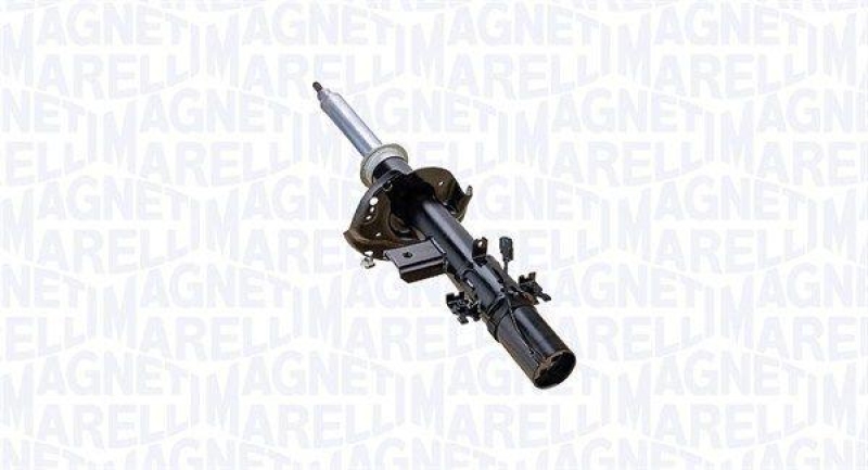 Stoßdämpfer MAGNETI MARELLI WW1952811 online kaufen | Lott Autoteile