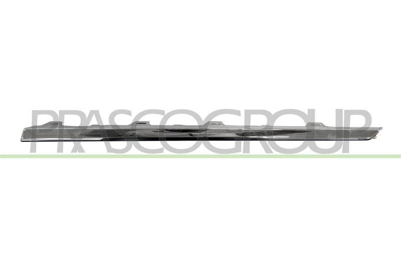 Trim/Protective Strip, bumper Premium