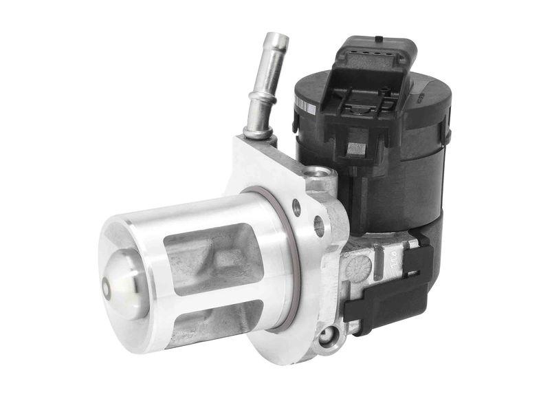 BorgWarner (Wahler) AGR-Ventil