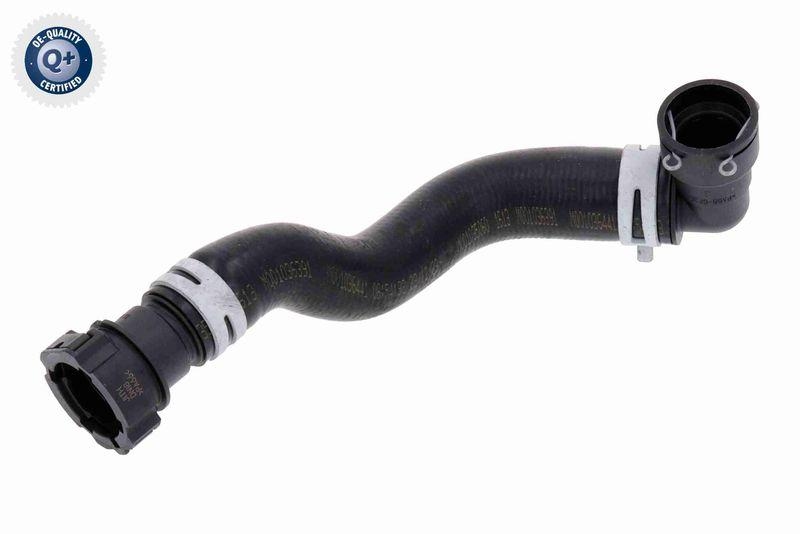 VAICO K&uuml;hlerschlauch Q+, Erstausr&uuml;sterqualit&auml;t V25-1517