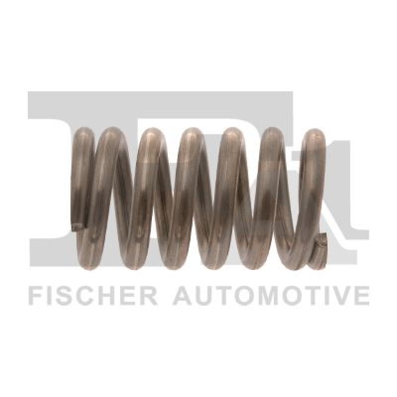 FA1 Spring, muffler