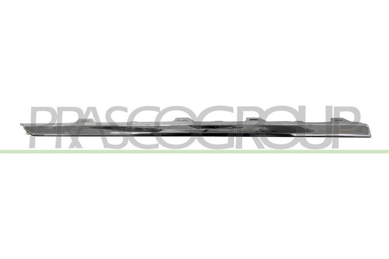 Trim/Protective Strip, bumper Premium