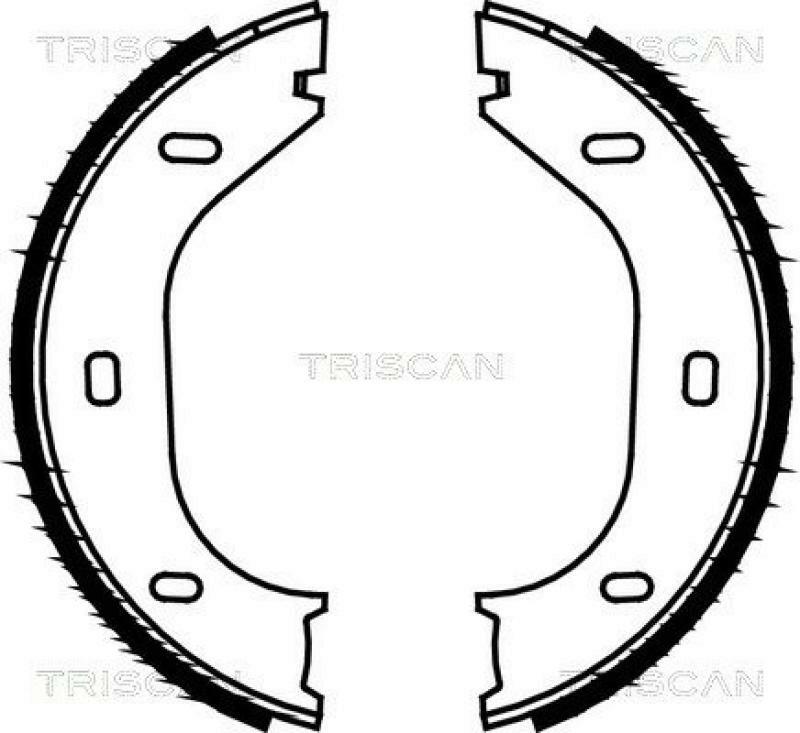 TRISCAN Brake Shoe Set, parking brake