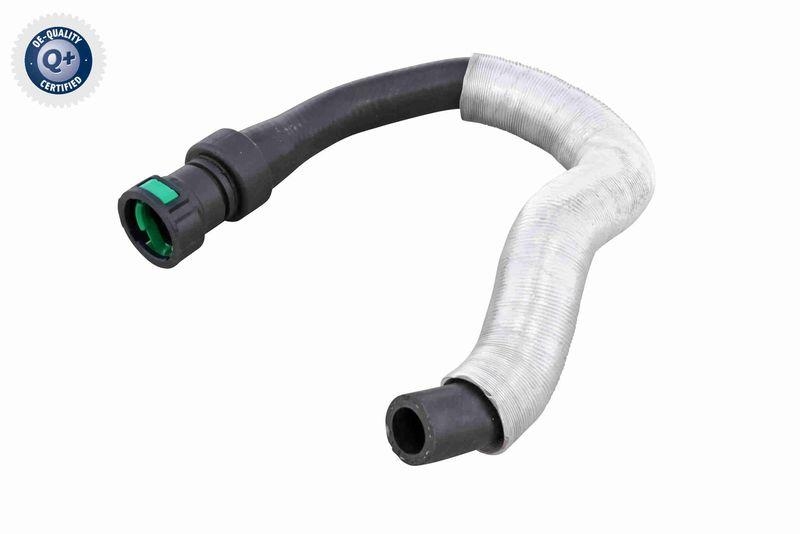 VAICO K&uuml;hlerschlauch Q+, Erstausr&uuml;sterqualit&auml;t V25-1518