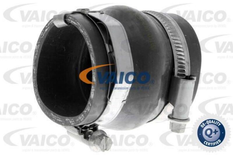 VAICO Charger Air Hose Q+, original equipment manufacturer quality