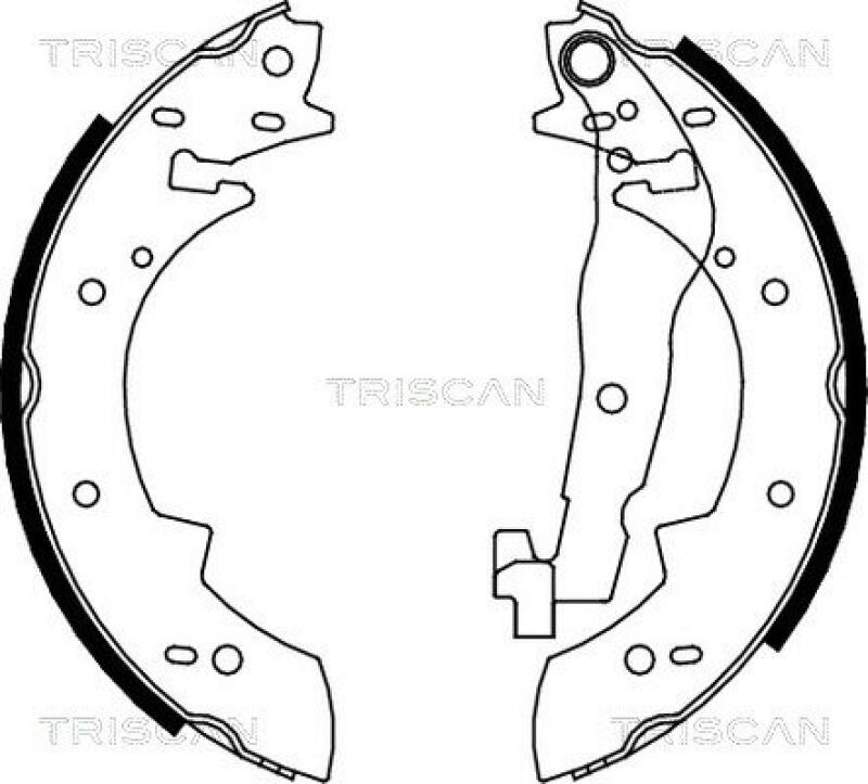 TRISCAN Brake Shoe Set