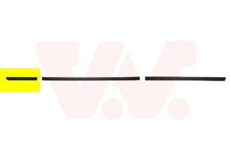 VAN WEZEL Trim/Protective Strip, wing