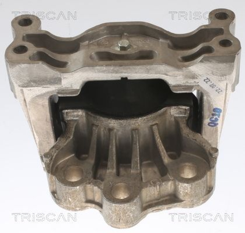 TRISCAN Lagerung, Motor 8505 16121