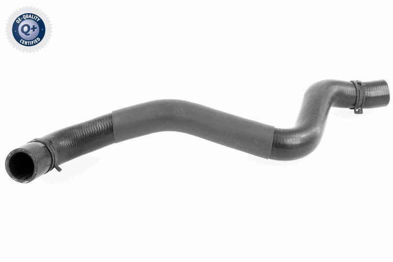 VAICO K&uuml;hlerschlauch Q+, Erstausr&uuml;sterqualit&auml;t V95-0397