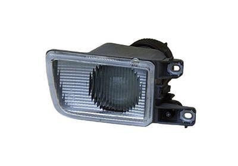 VAN WEZEL Fog Light
