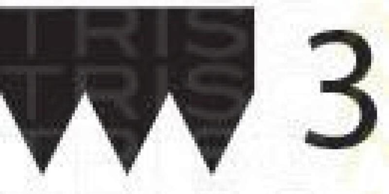 TRISCAN Keilrippenriemen 8640 300628