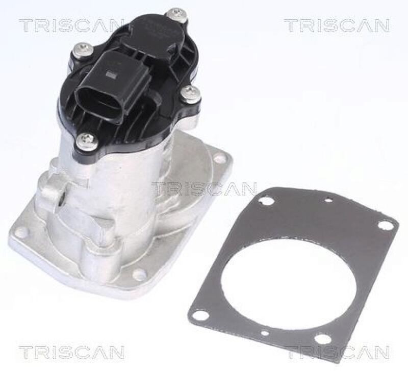 TRISCAN EGR Valve
