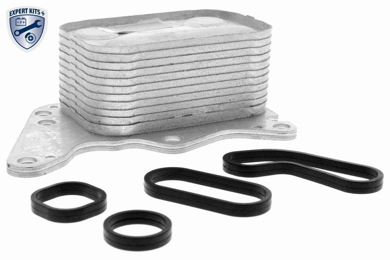 VEMO Ölkühler, Motoröl EXPERT KITS + V42-60-0008