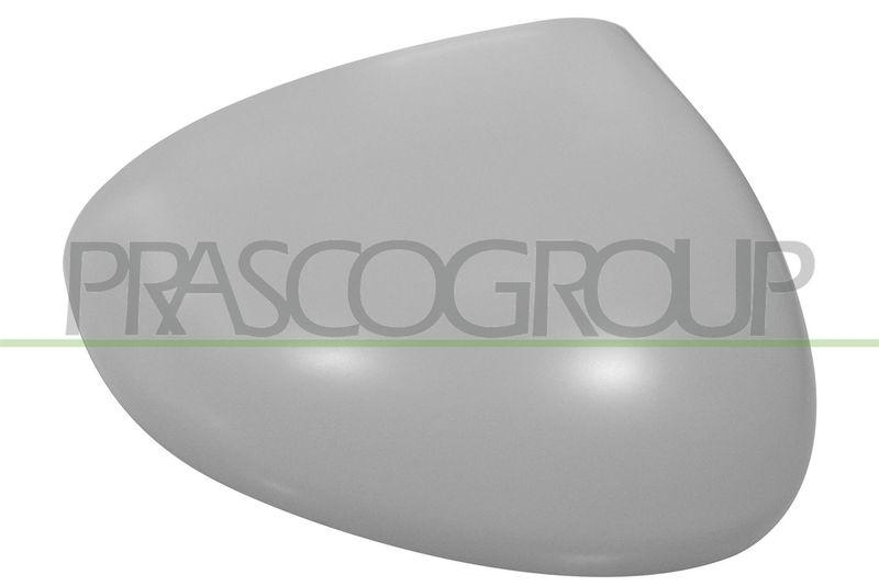 PRASCO Abdeckung, Außenspiegel