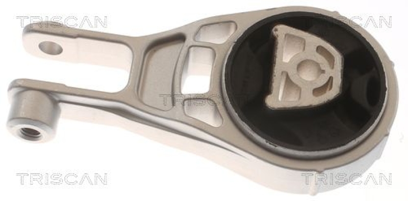 TRISCAN Lagerung, Motor 8505 24114