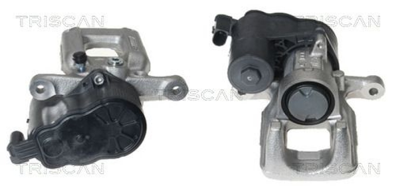 TRISCAN Bremssattel