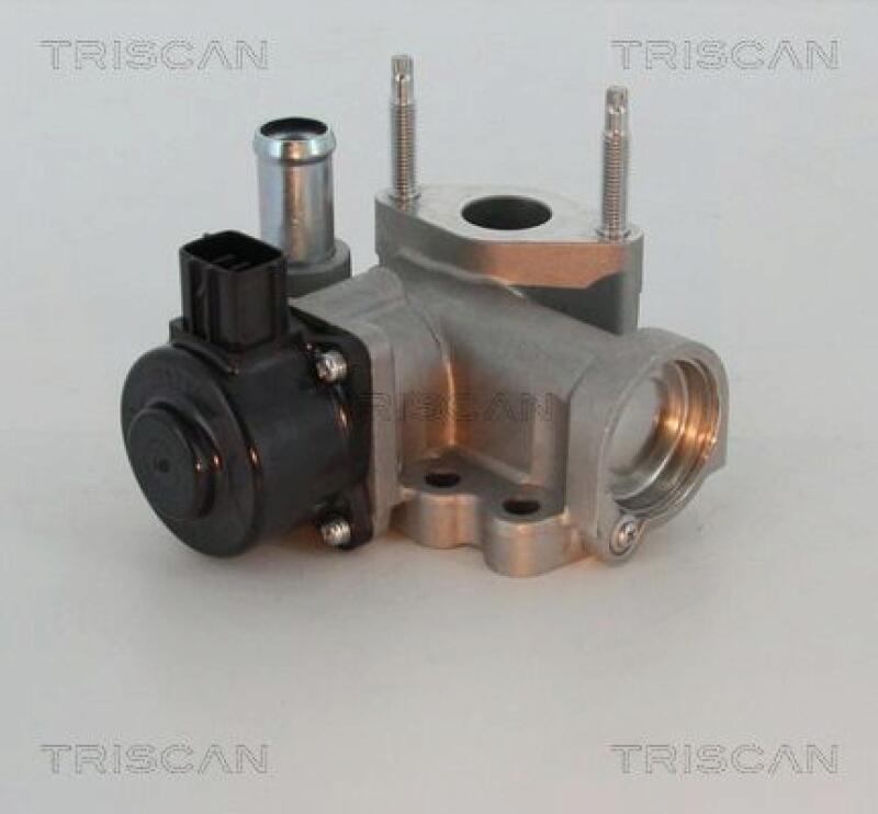 TRISCAN EGR Valve