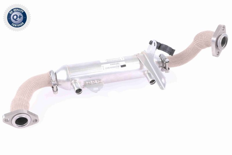 VEMO K&uuml;hler, Abgasr&uuml;ckf&uuml;hrung Q+, Erstausr&uuml;sterqualit&auml;t V24-63-0020