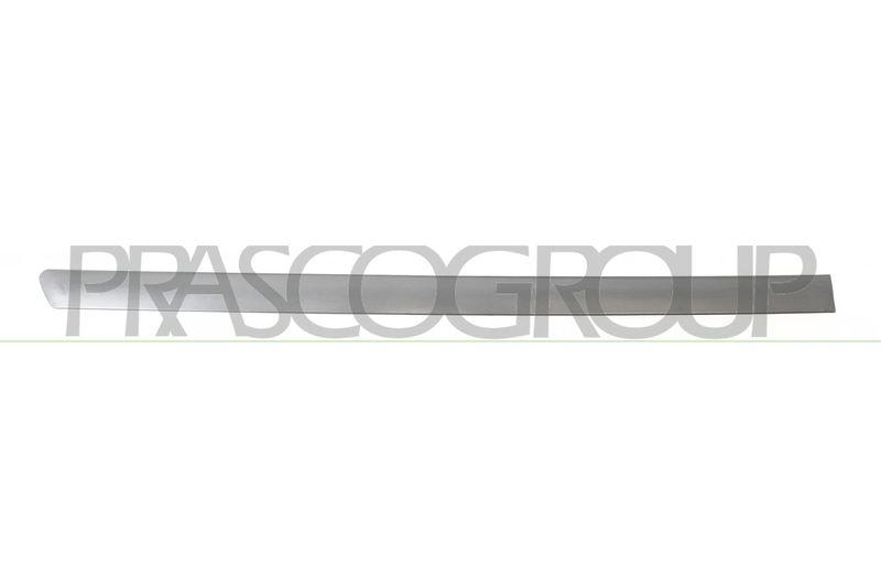 PRASCO Zier-/Schutzleiste, Tür