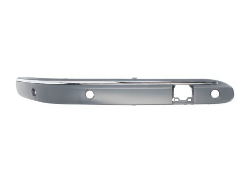 BLIC Trim/Protection Strip, bumper