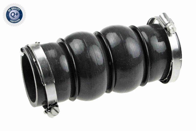 VAICO Charger Air Hose Q+, original equipment manufacturer quality