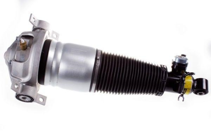 DENCKERMANN Air Spring Strut