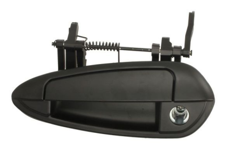 BLIC Door Handle