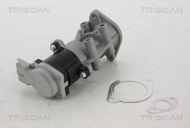 TRISCAN EGR Valve