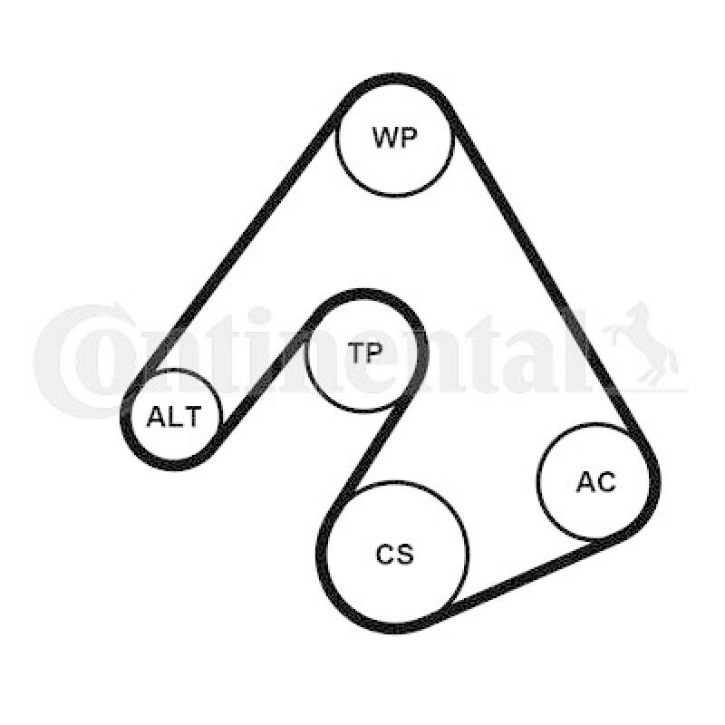 CONTINENTAL CTAM Keilrippenriemensatz