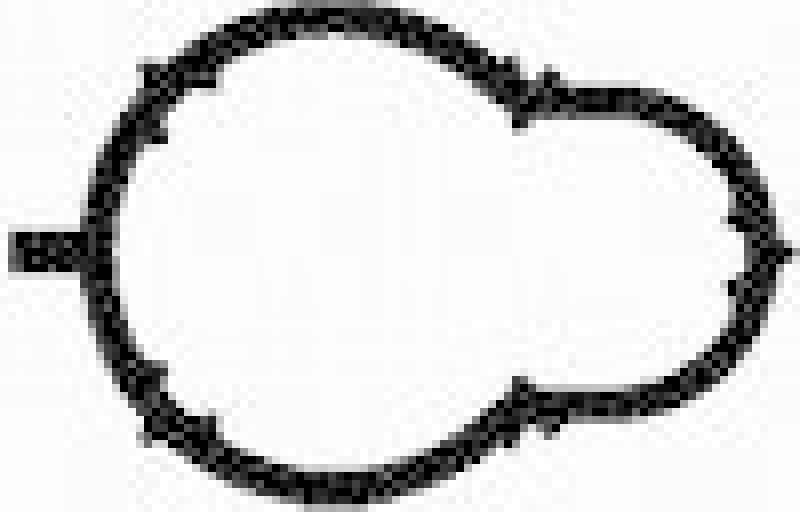 BGA Gasket, intake manifold