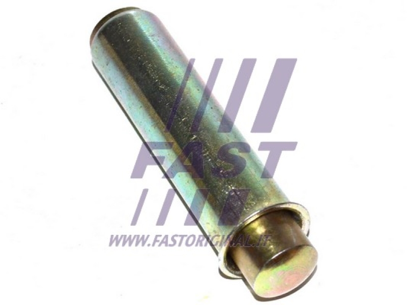 FAST Spannrolle, Zahnriemen FT44081