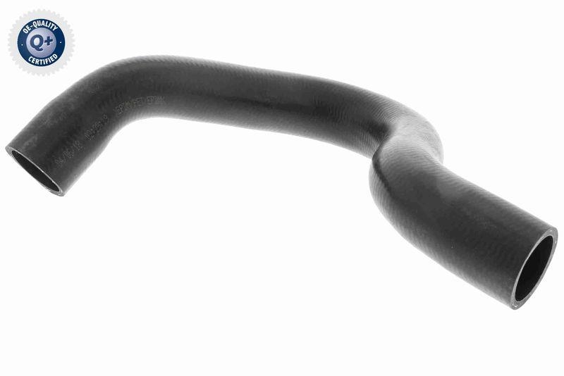 VAICO Radiator Hose Original VAICO Quality