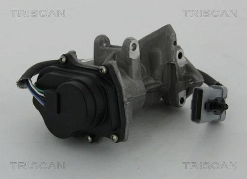 TRISCAN AGR-Ventil 8813 17019