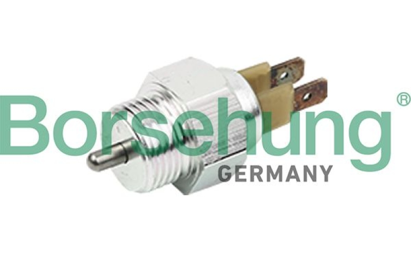 Borsehung Switch, reverse light