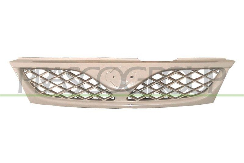 Radiator Grille