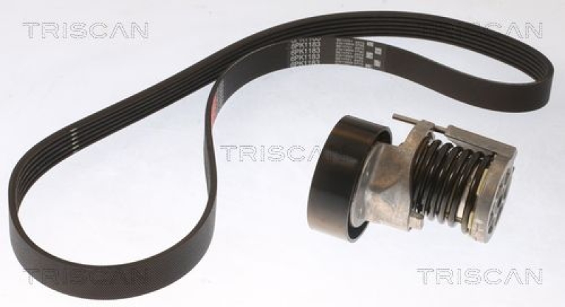 TRISCAN V-Ribbed Belt Set