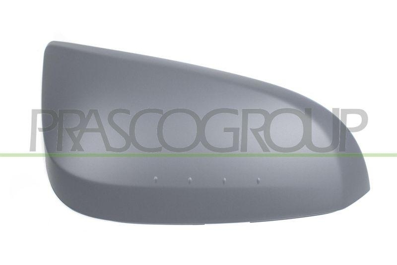 PRASCO Abdeckung, Außenspiegel