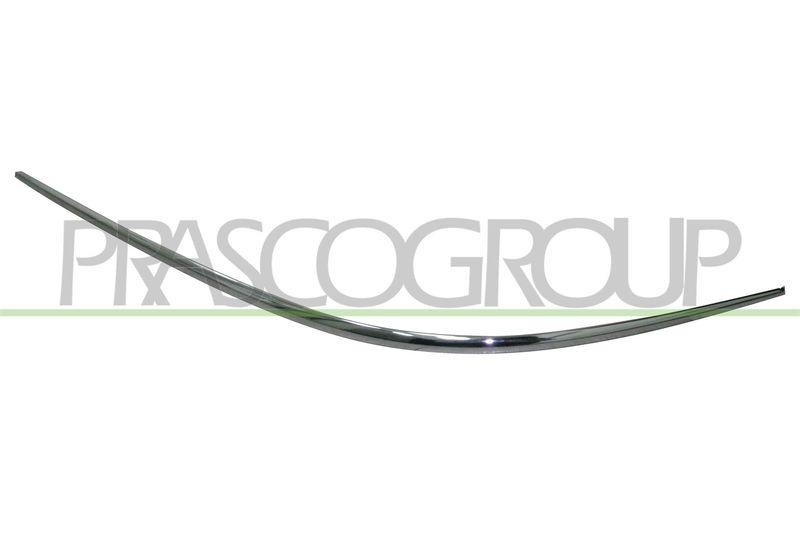 Trim/Protective Strip, bumper