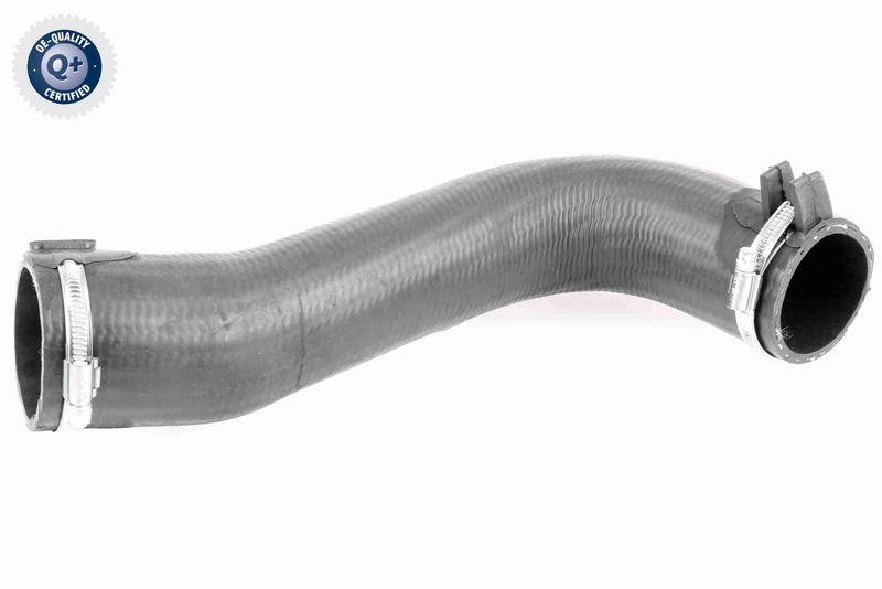 VAICO Ladeluftschlauch Q+, Erstausr&uuml;sterqualit&auml;t V42-0584