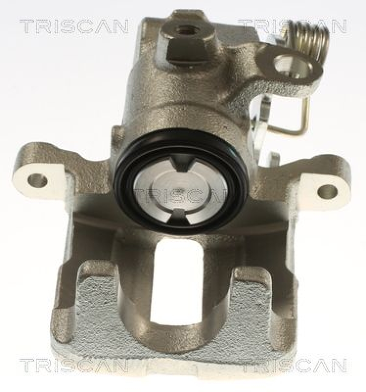 TRISCAN Bremssattel