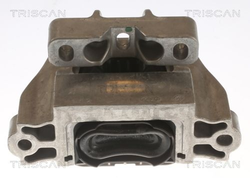 TRISCAN Lagerung, Motor 8505 29179