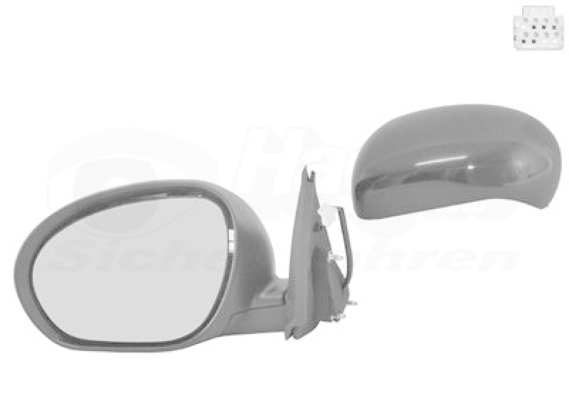 VAN WEZEL Outside Mirror HAGUS
