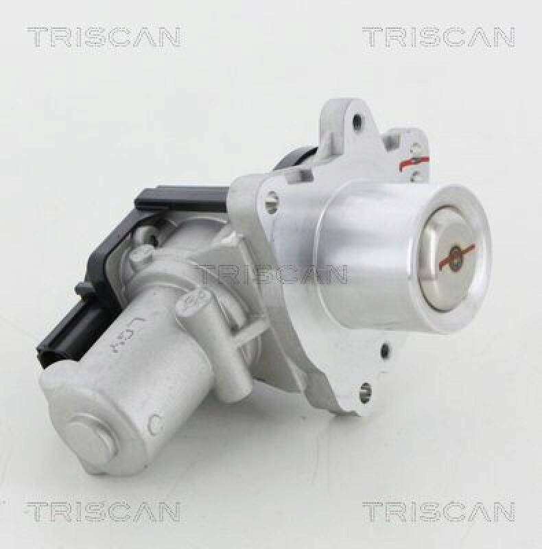 TRISCAN AGR-Ventil 8813 18045