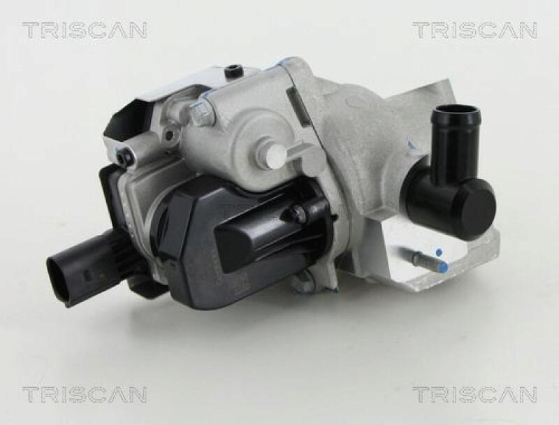 TRISCAN AGR-Ventil 8813 18046