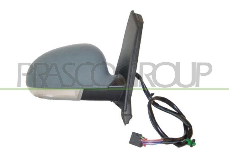 Outside Mirror Premium