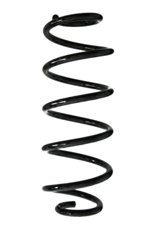 SPIDAN Suspension Spring