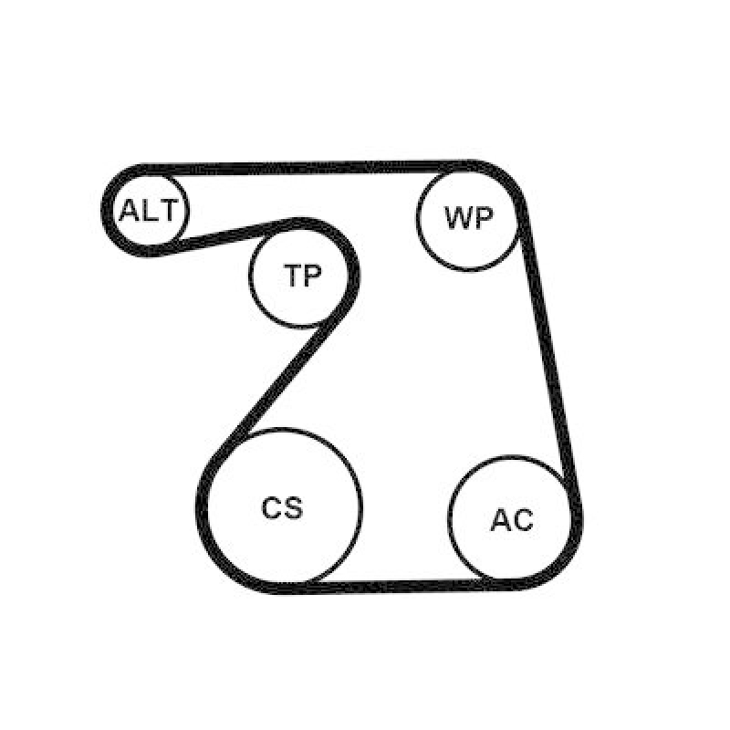 CONTINENTAL CTAM Water Pump + V-Ribbed Belt Kit