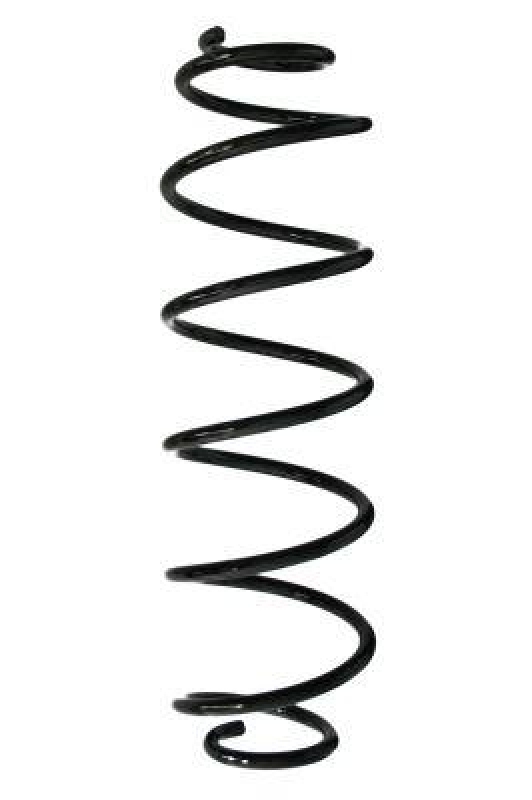 SPIDAN Suspension Spring